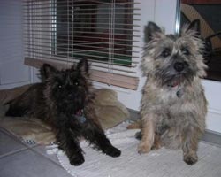 Vicky-og-Daisy-1.jpg