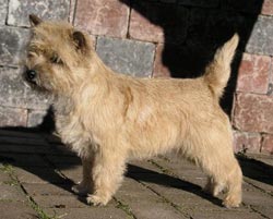 calehills-klara2.jpg